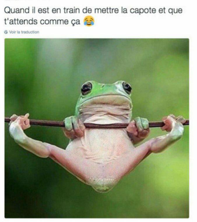 34073787_10156445006769375_2103884176552886272_n